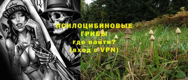 дживик Дмитриев