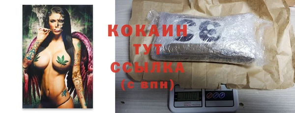 ПСИЛОЦИБИНОВЫЕ ГРИБЫ Дмитров