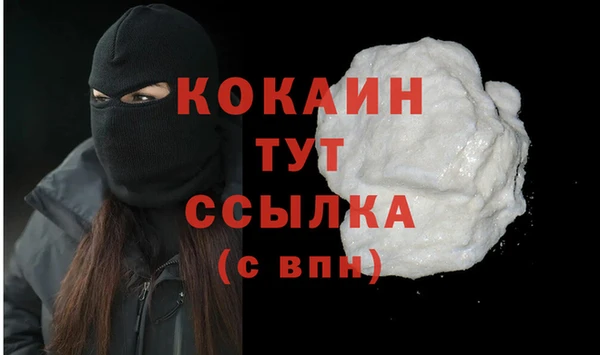дживик Дмитриев