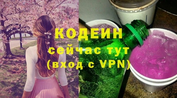 дживик Дмитриев