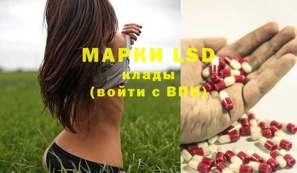 ПСИЛОЦИБИНОВЫЕ ГРИБЫ Дмитров