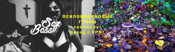 дживик Дмитриев