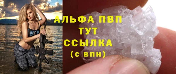 ПСИЛОЦИБИНОВЫЕ ГРИБЫ Дмитров