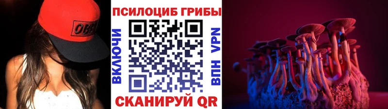 где купить   Ессентукская  Псилоцибиновые грибы мицелий 