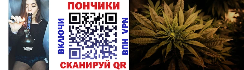 купить наркоту  Ессентукская  Бошки Шишки индика 